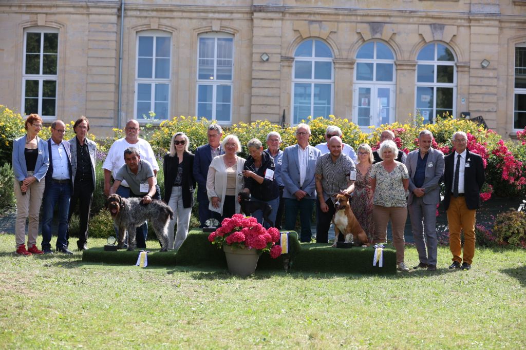 CH. Tannhauser honor old blood Du chemin des moulins