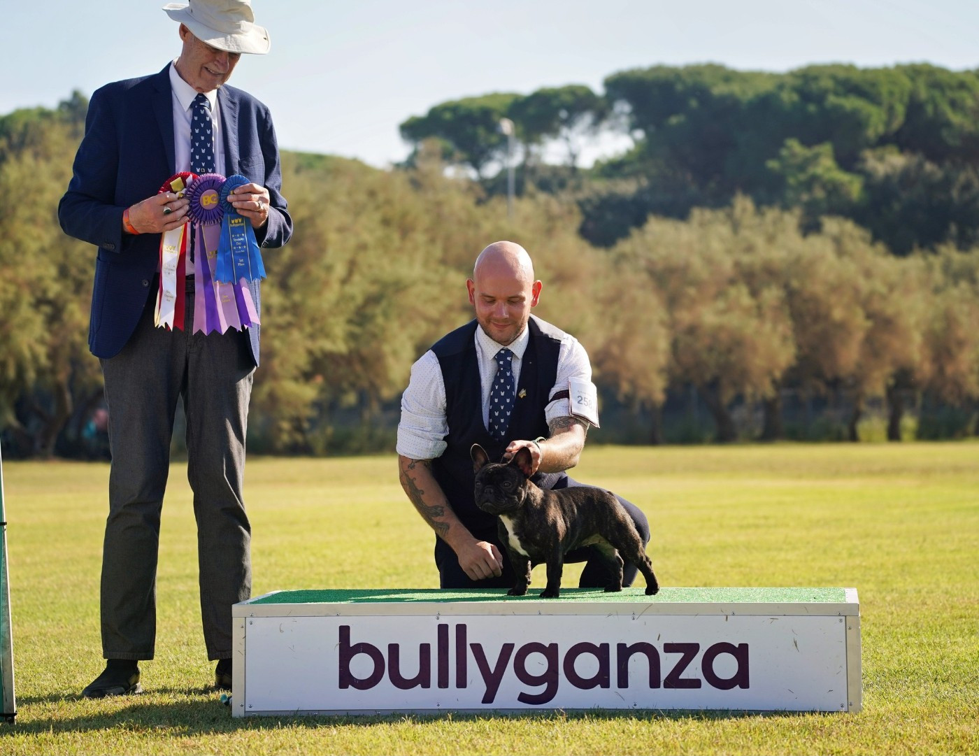 Duchess of carbony red panda